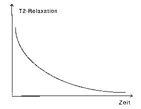 T2-Relaxation, Dephasierung der Quermagnetisierung